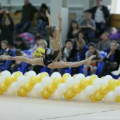 школа художественной гимнастики elite изображение 3 на проекте novo-peredelkino.su