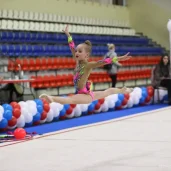 детская спортивная школа по художественной гимнастике и спортивной акробатике fd на боровском шоссе изображение 11 на проекте novo-peredelkino.su