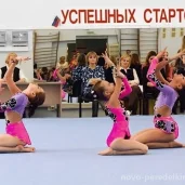 детская спортивная школа по художественной гимнастике и спортивной акробатике fd на боровском шоссе изображение 20 на проекте novo-peredelkino.su