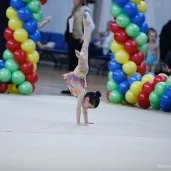 детская спортивная школа по художественной гимнастике и спортивной акробатике fd на боровском шоссе изображение 18 на проекте novo-peredelkino.su