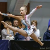 детская спортивная школа по художественной гимнастике и спортивной акробатике fd на боровском шоссе изображение 5 на проекте novo-peredelkino.su