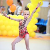детская спортивная школа по художественной гимнастике и спортивной акробатике fd на боровском шоссе изображение 1 на проекте novo-peredelkino.su