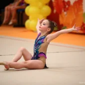 детская спортивная школа по художественной гимнастике и спортивной акробатике fd на боровском шоссе изображение 10 на проекте novo-peredelkino.su
