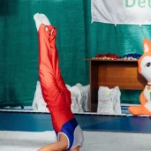 всероссийская детская спортивная школа по художественной гимнастике и спортивной акробатике fd на боровском шоссе изображение 1 на проекте novo-peredelkino.su
