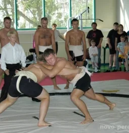 спортивная школа борец изображение 2 на проекте novo-peredelkino.su